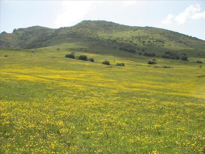 دیلمان