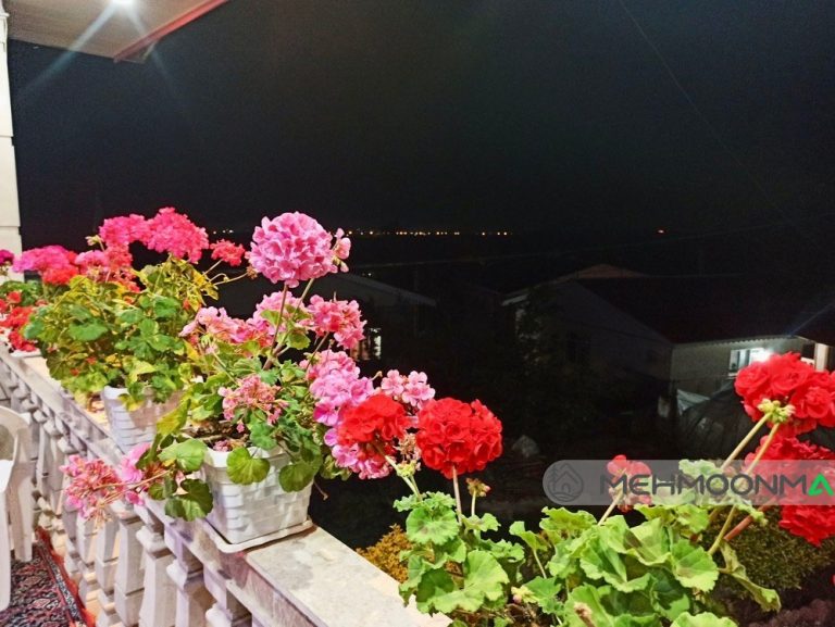 ویلای امیری زاده
