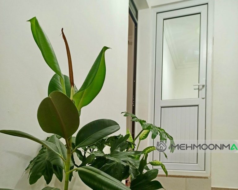 ویلای امیری زاده