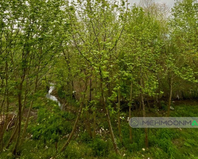 سوئیسی دو خوابه شایان