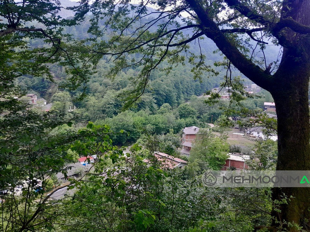 کلبه سوئیسی ازاد