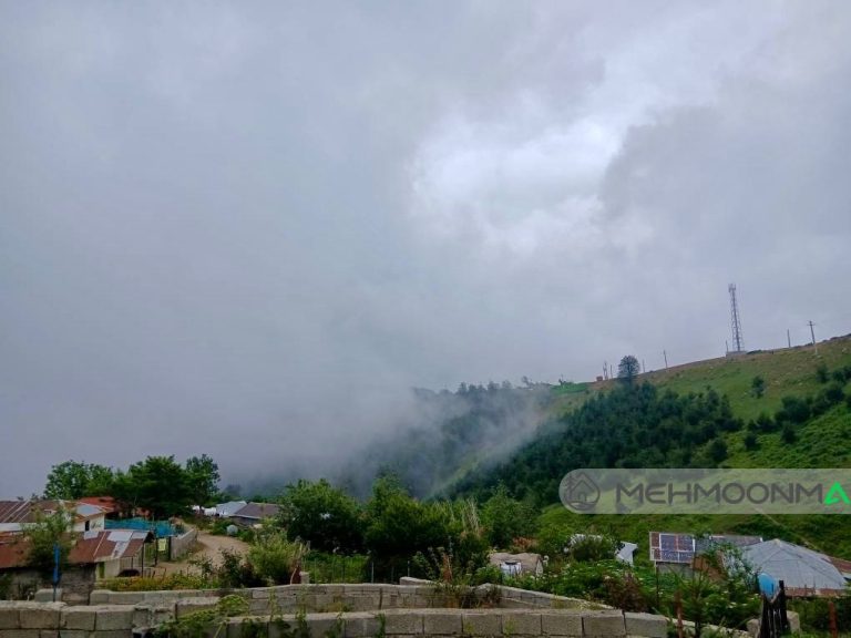 ویلایی جنگلی سبز