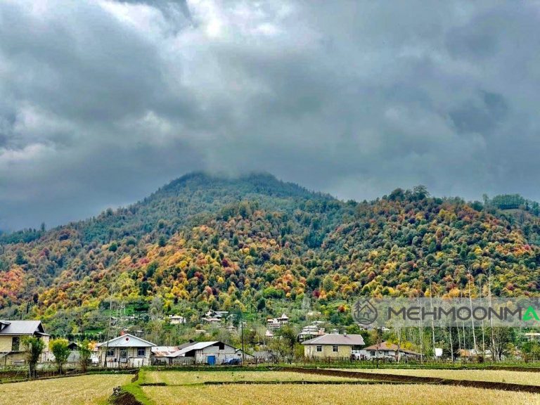 کلبه سوئیسی صمدی