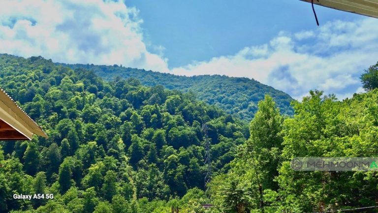 ویلای چوبی اختیاری