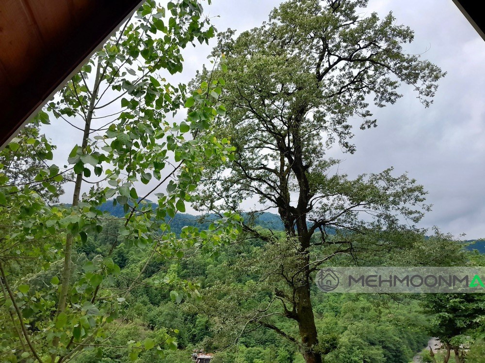 کلبه سوئیسی ازاد