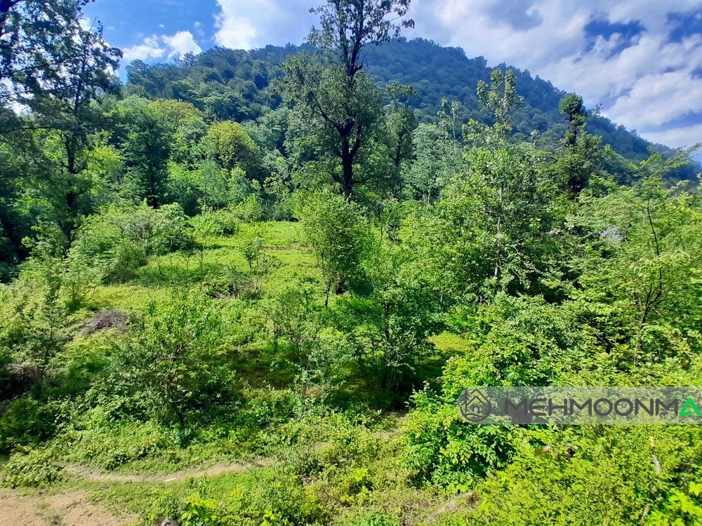 کلبه سوئیسی ازاد