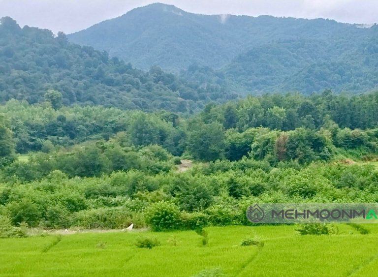 ویلای جنگلی محمدسلیم