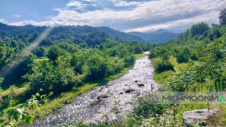 ویلایی جنگلی رویال