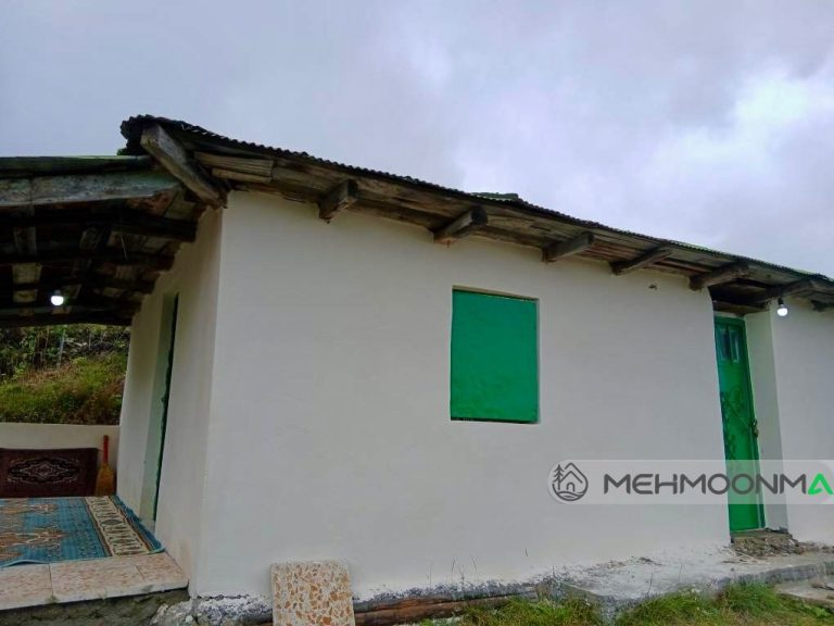 ویلایی جنگلی سبز