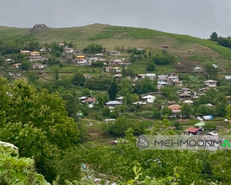 ویلایی جنگلی سبز