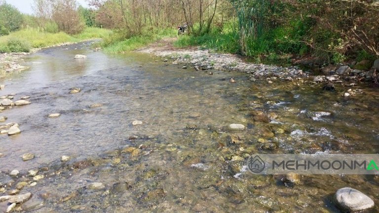 ویلای جنگلی محمدسلیم