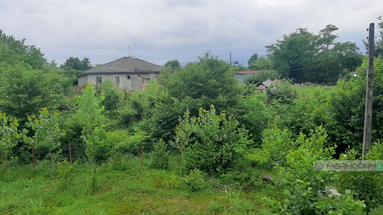 کلبه چوبی استخردار