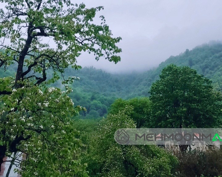 کلبه تالما